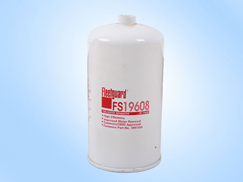 FS19608о